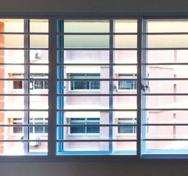 Window Grill2